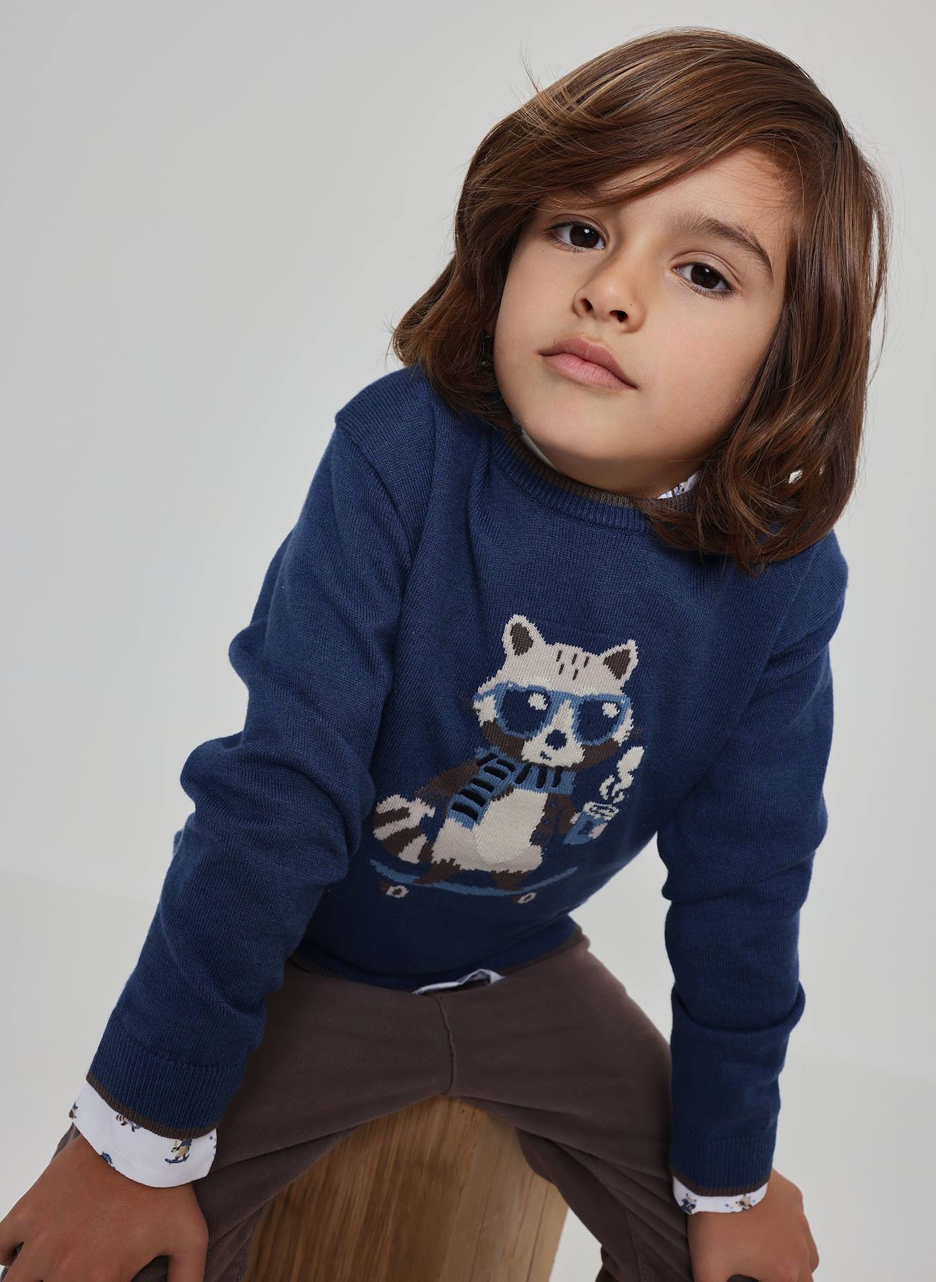 Pull Garçon Imprimé Raton Laveur Skater Bleu