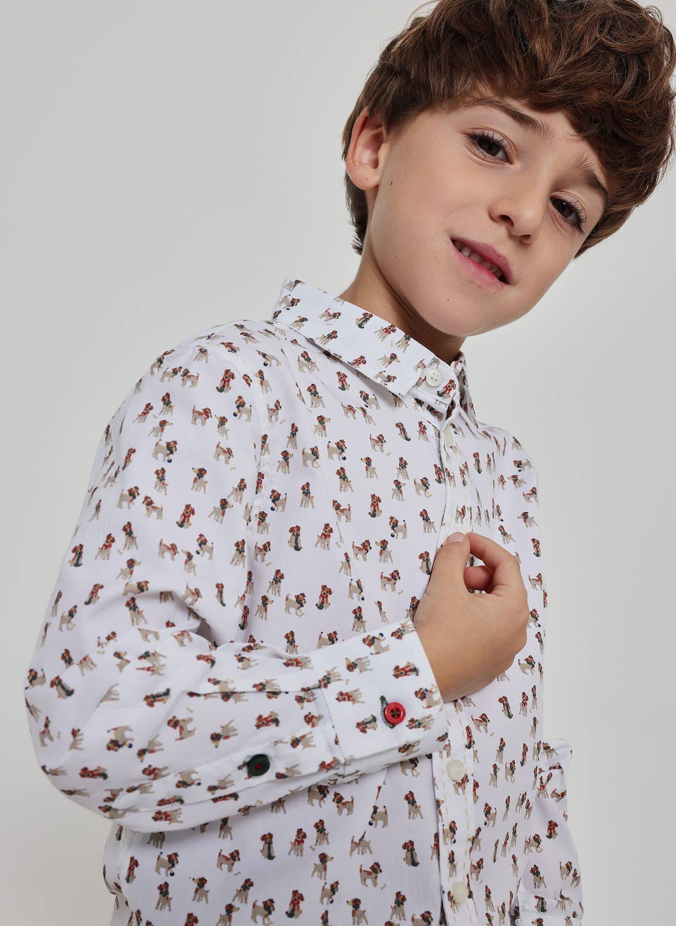 Chemise Garçon Popeline Imprimé Chiens Multicolore