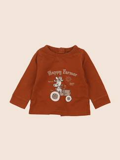 Seconde main-Garçon-T-shirt, polo, sous pull-Tee-shirt - 3 mois