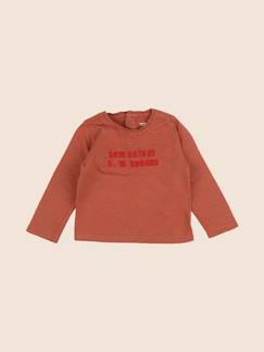 Seconde main-Garçon-T-shirt, polo, sous pull-Tee-shirt - 12 mois