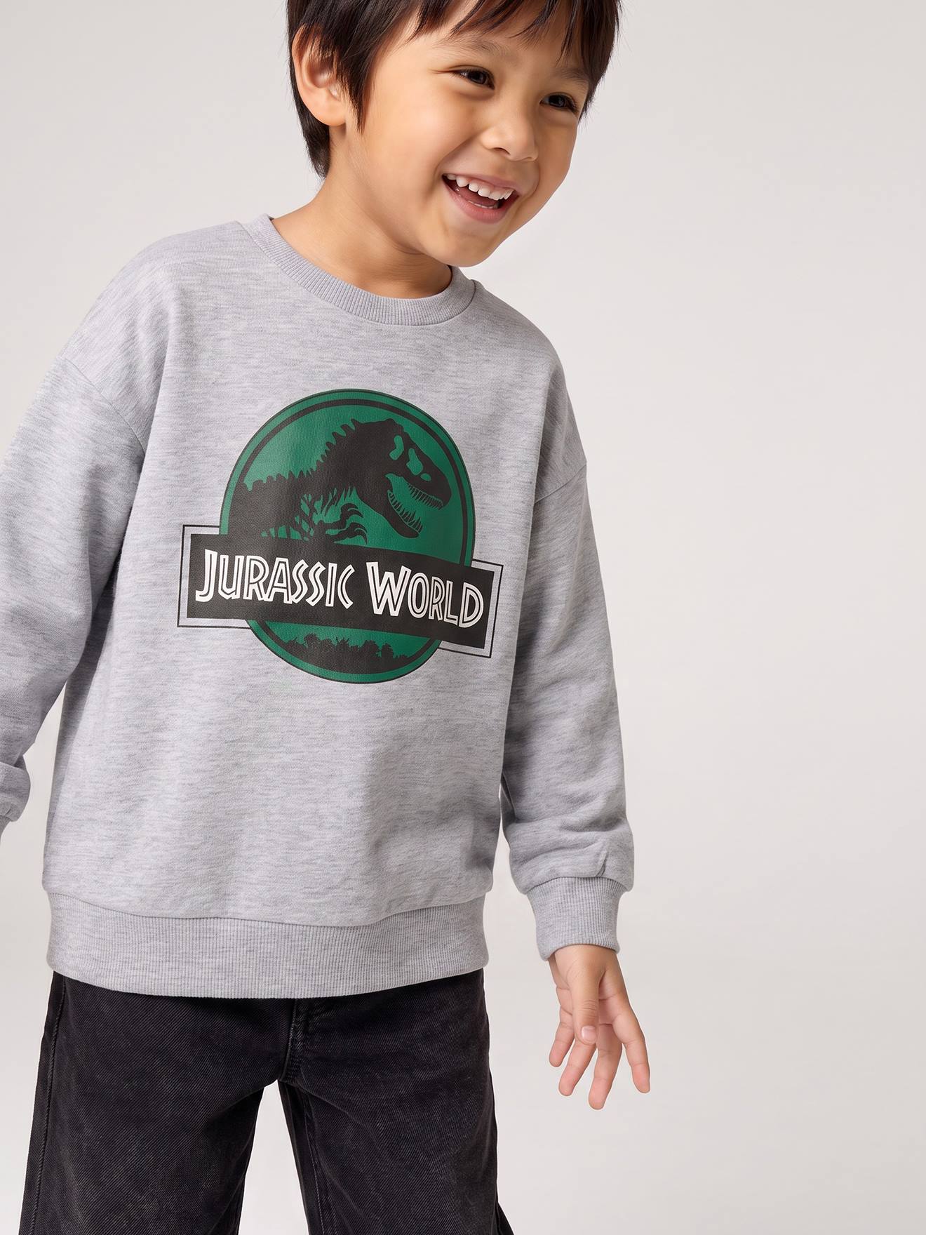 Sweat garçon Jurassic World gris chiné