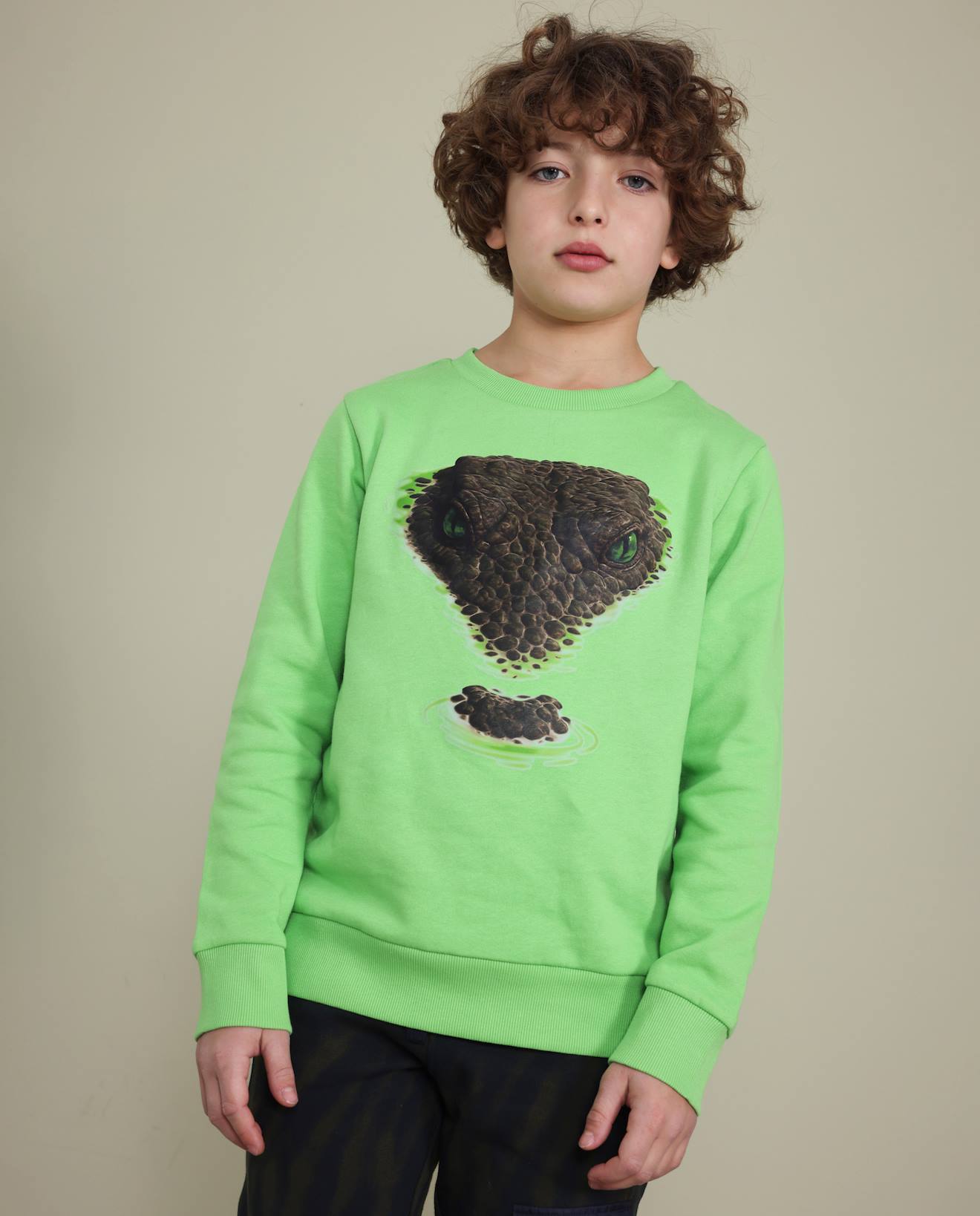 Sweat Garçon En Molleton Avec Imprimé Graphique Serpent Vert
