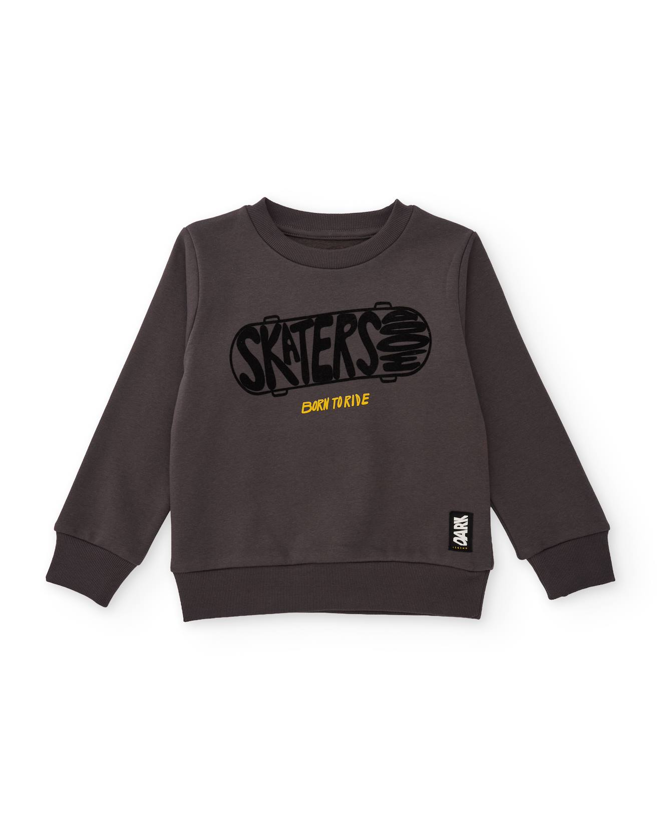 Sweat-shirt Garçon En Molleton Avec Imprimé Skateboard Gris