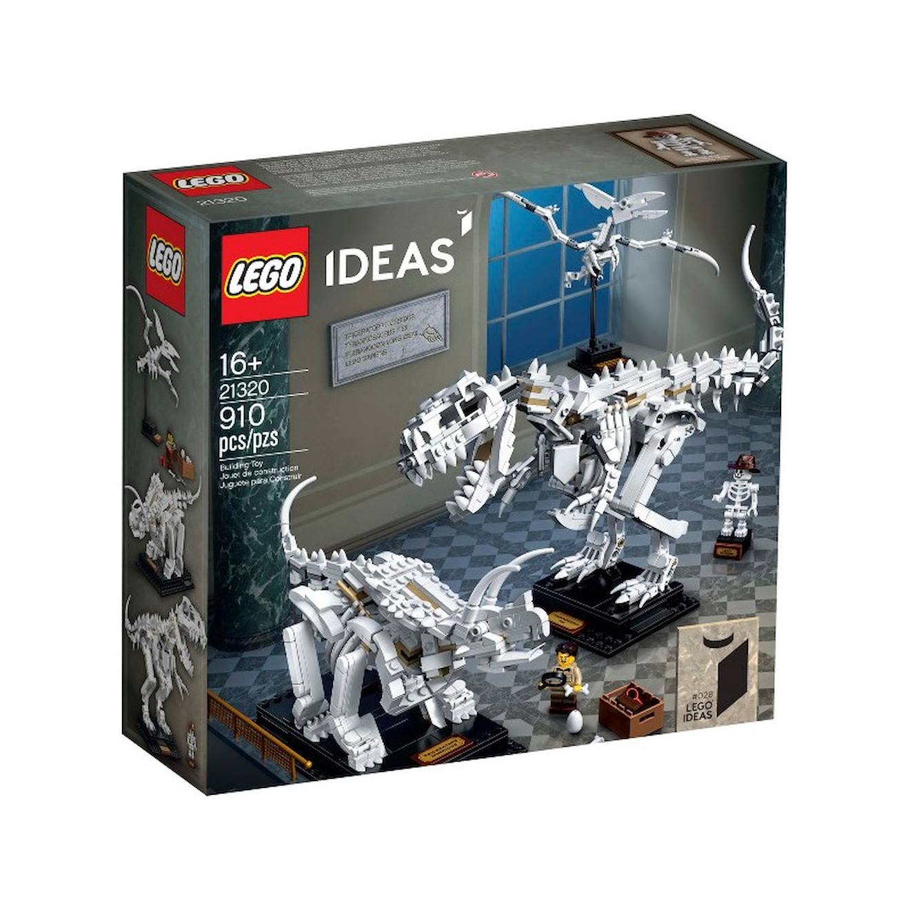 Lego Ideas 21320 Les Fossiles De Dinosaures Multicolore