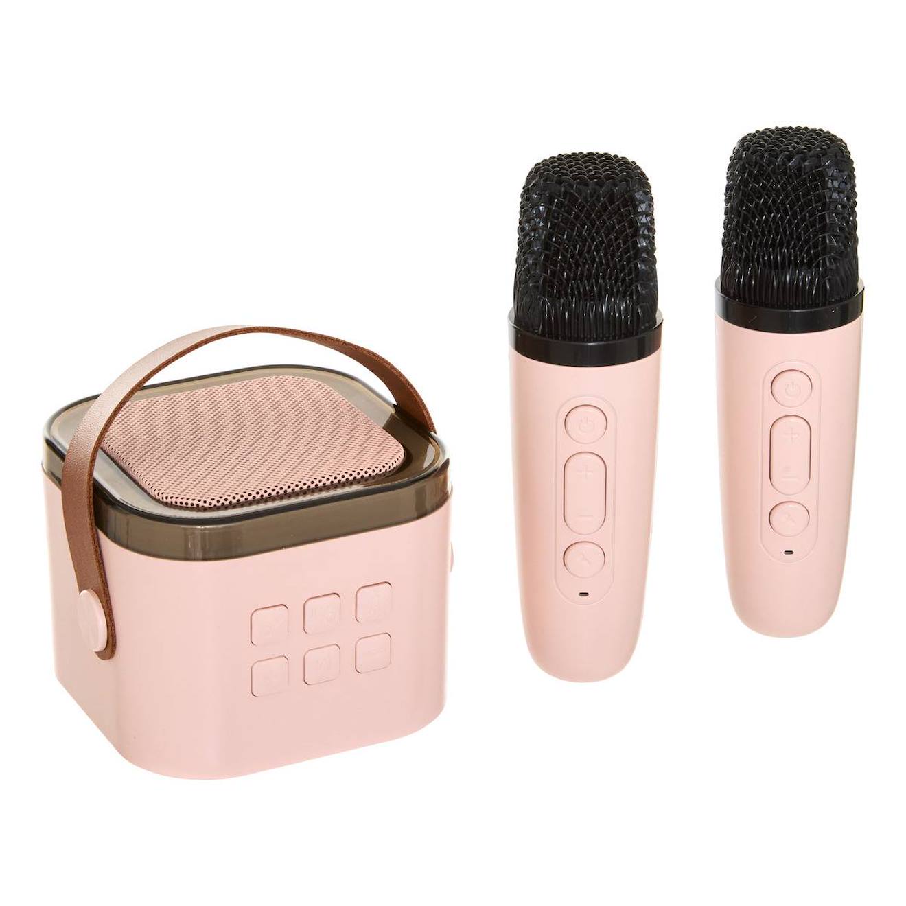 Set Karaoké Enceinte Et Micros - Kara Rose