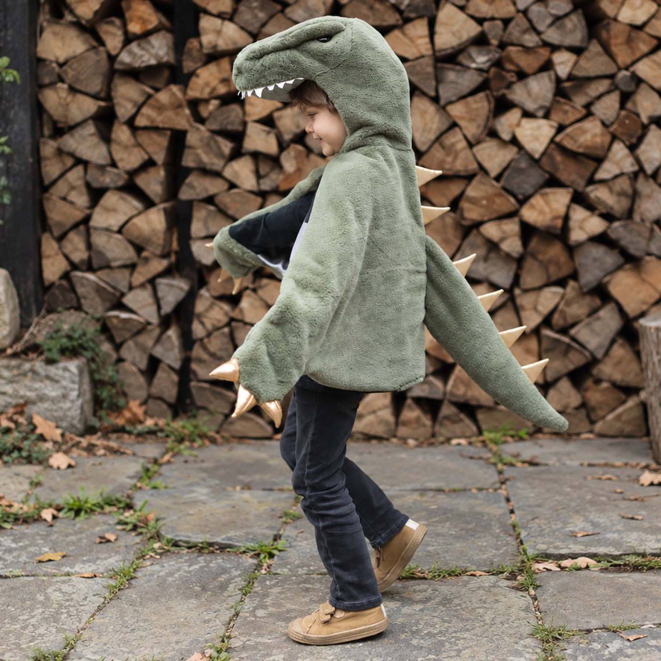 Déguisement Enfant Cape Dinosaure T Rex Toute Douce Vert