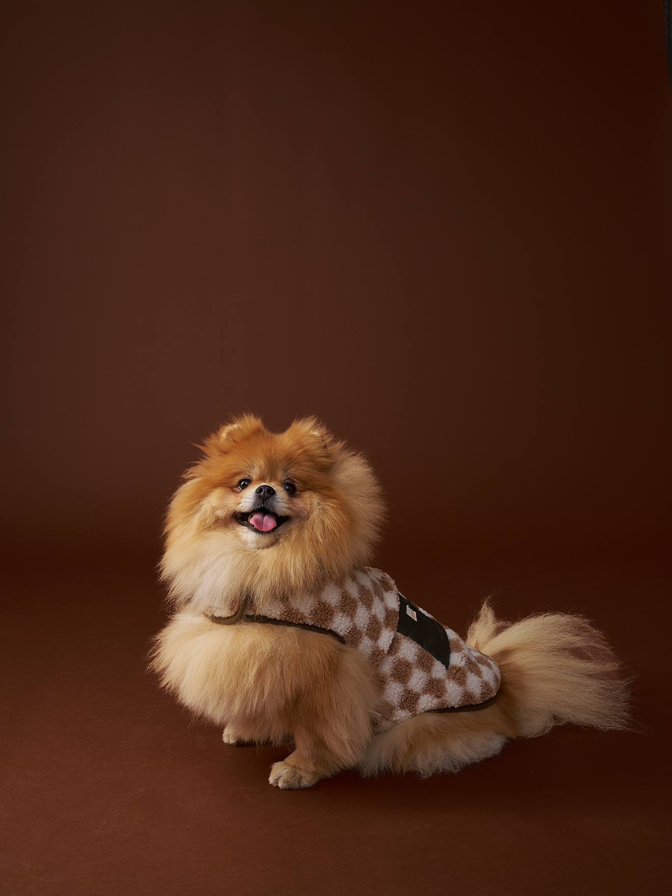 Manteau polaire chien carreaux marron
