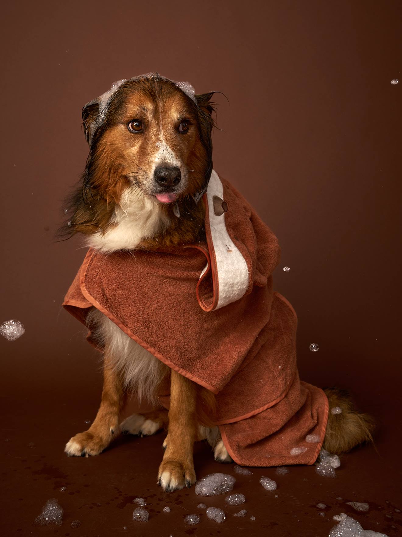 Cape de bain chien coton cappuccino