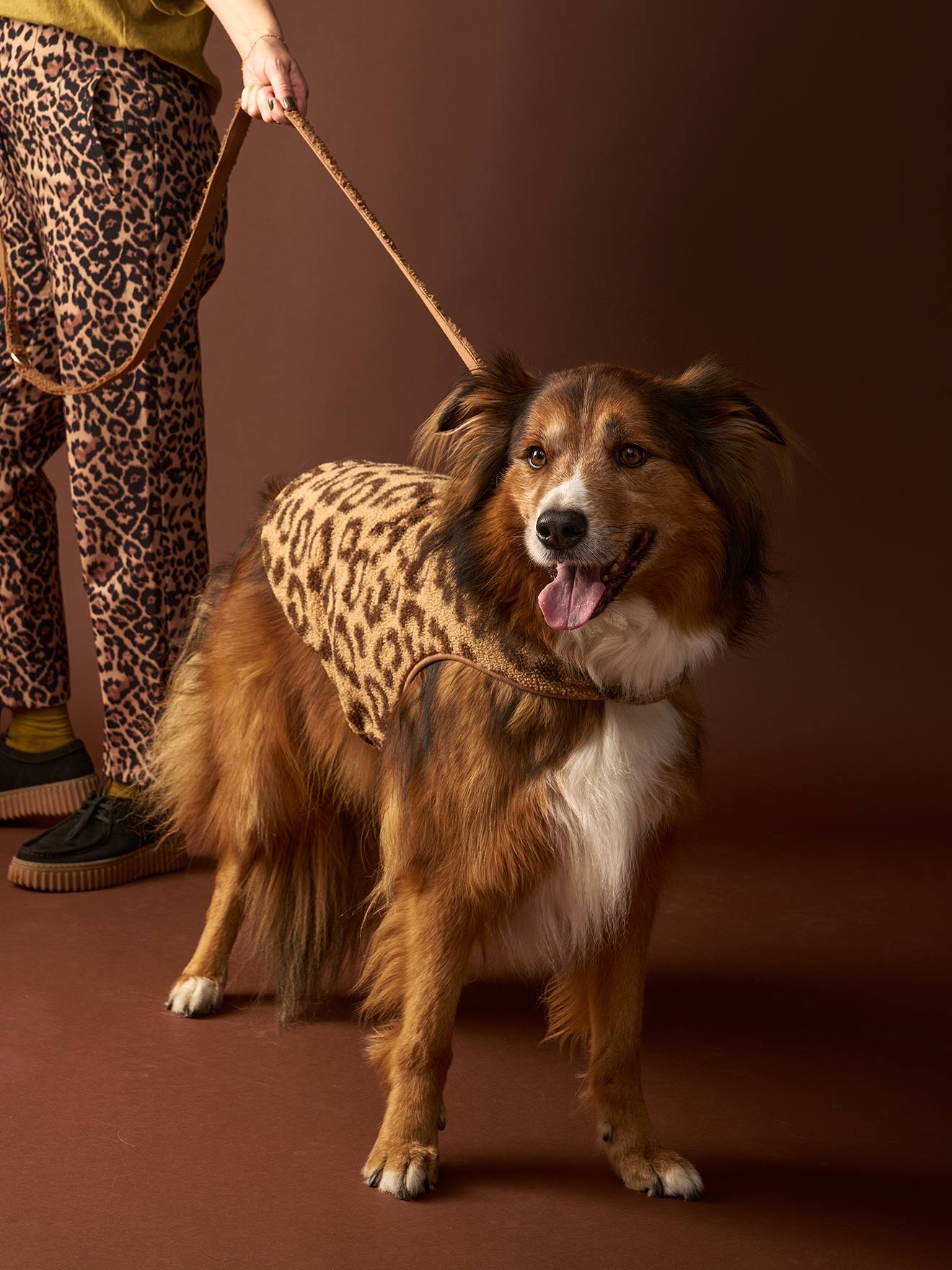 Manteau sherpa pour chien cappuccino