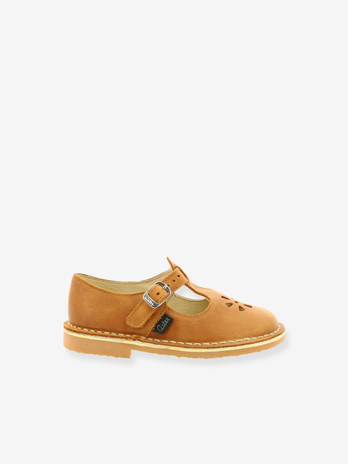 aster dingo camel