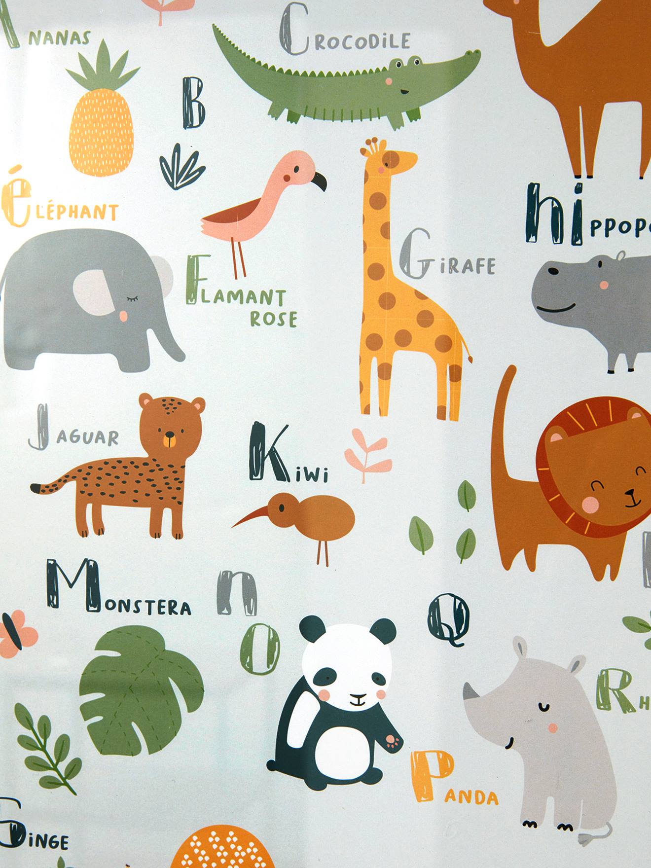 Cadre + affiche Abécédaire Jungle multicolore (Vertbaudet) - Image 2