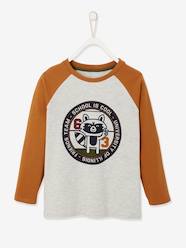 T-shirt motif graphique garçon manches raglan Oeko-Tex®  [numero-image] - vertbaudet enfant 
