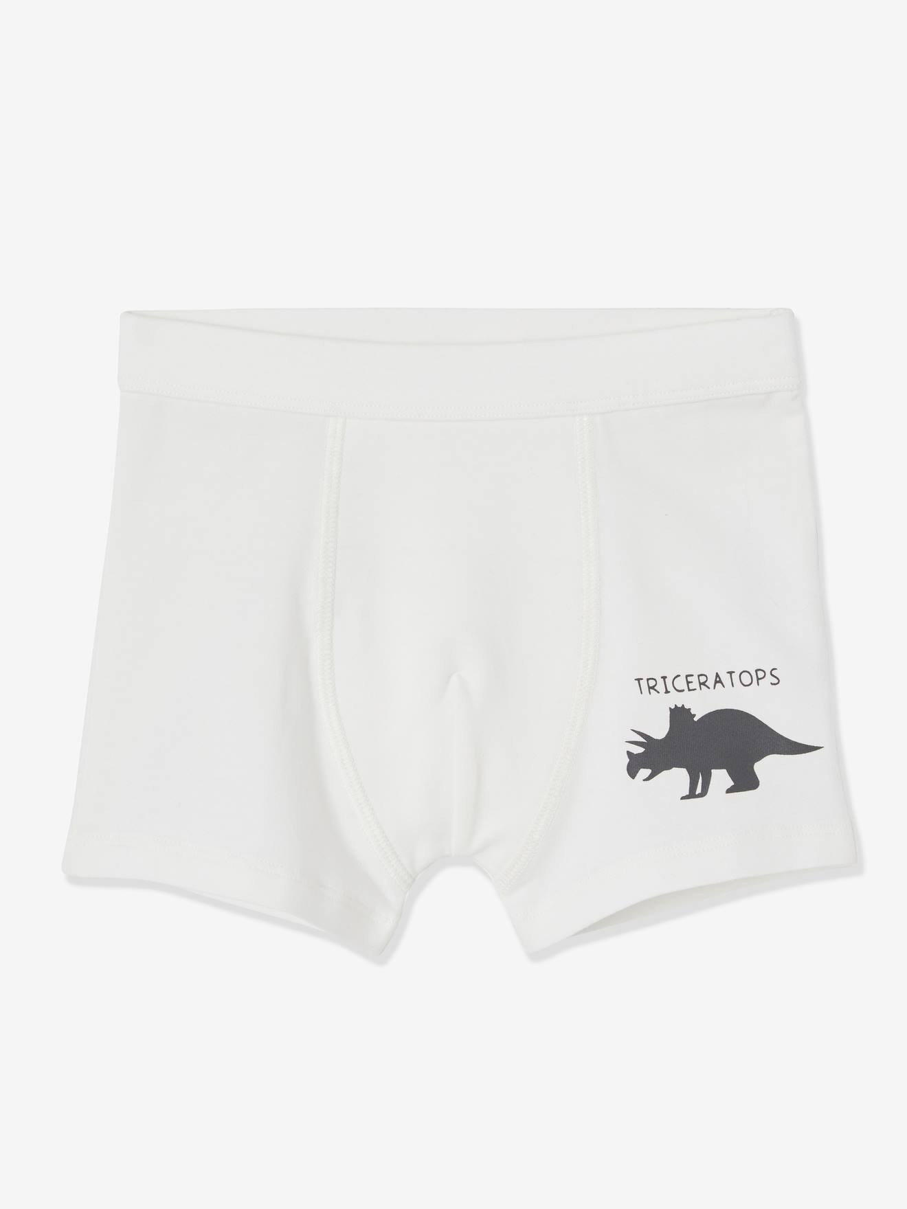 BLOMDES Pack de sous-vêtements - Dinosaure - Garçon - Lot de 5