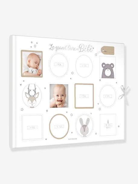 Livre De Naissance Le Grand Livre De Bebe Larousse Hachette