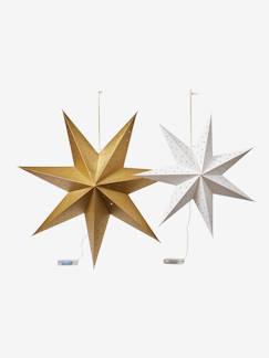 Linge de maison et décoration-Décoration-Décoration lumineuse-Lot de 2 étoiles lumineuses