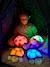 Veilleuse projecteur d’étoiles CLOUD B Twilight Ladybug (Coccinelle rose)+Turtle (tortue bleue) 6 - vertbaudet enfant 