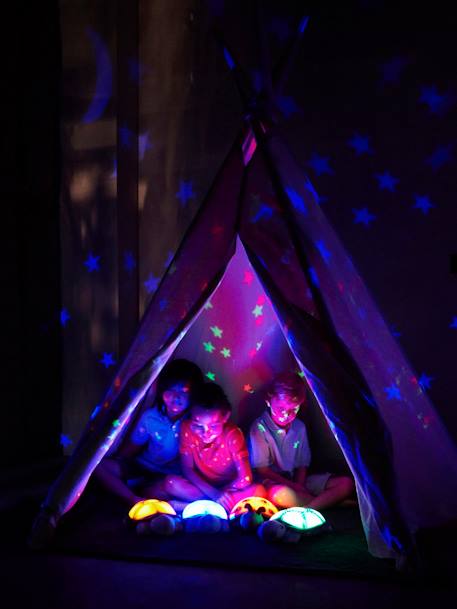 Veilleuse projecteur d’étoiles CLOUD B Twilight Ladybug (Coccinelle rose)+Turtle (tortue bleue) 18 - vertbaudet enfant 