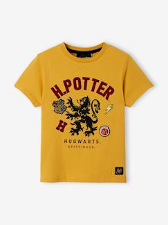 Garçon-T-shirt, polo, sous-pull-T-shirt-T-shirt garçon Harry Potter®