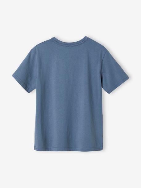 T-shirt motifs graphiques garçon manches courtes BLEU+bleu clair+curcuma+ECRU 2 - vertbaudet enfant 