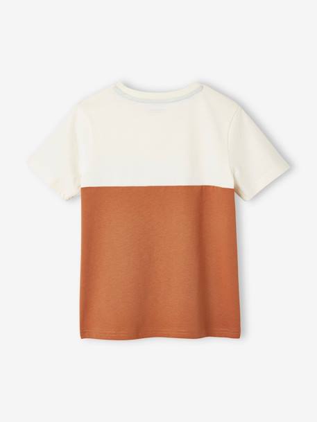 T-shirt garçon coloblock manches courtes ardoise+menthe+orange+vert anglais 18 - vertbaudet enfant 