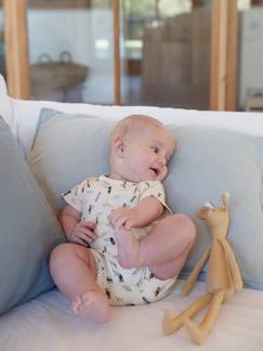 Bébé-Lot de 2 pyjamas combishort bébé garçon ouverture dos Oeko Tex®