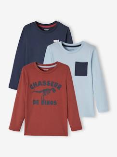 Garçon-T-shirt, polo, sous-pull-T-shirt-Lot de 3 T-shirts Basics garçon manches longues