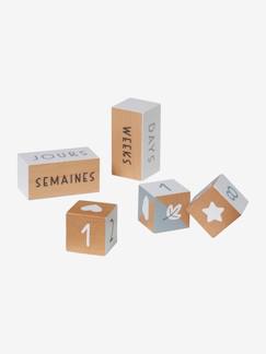 Jouet-Premier âge-Premières manipulations-Cubes de l'âge spécial photos en bois FSC®