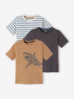 Garçon-Lot de 3 tee-shirts garçon assortis mances courtes