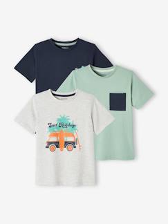 Garçon-T-shirt, polo, sous-pull-T-shirt-Lot de 3 tee-shirts garçon assortis mances courtes