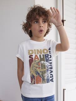 Garçon-Tee-shirt dinosaure garçon manches courtes
