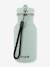 Gourde 350 ml bleu glacier+bleu pétrole+marron+Mr Dino+Mr Fox+Mr Lion+Mrs Cat+Mrs Elephant+Mrs Rabbit+Mrs Unicorn+rouge 39 - vertbaudet enfant 