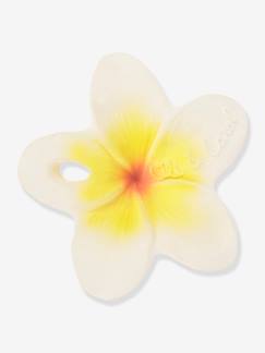 -Hawaii la Fleur - OLI & CAROL