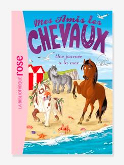 Jouet-Livres-Livres d'activités et de jeux-Mes amis les chevaux - t.14 - Une journée à la mer - HACHETTE