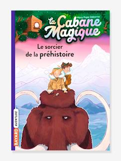 La cabane magique - t.6 - Le sorcier de la préhistoire - BAYARD JEUNESSE  blanc - Hachette
