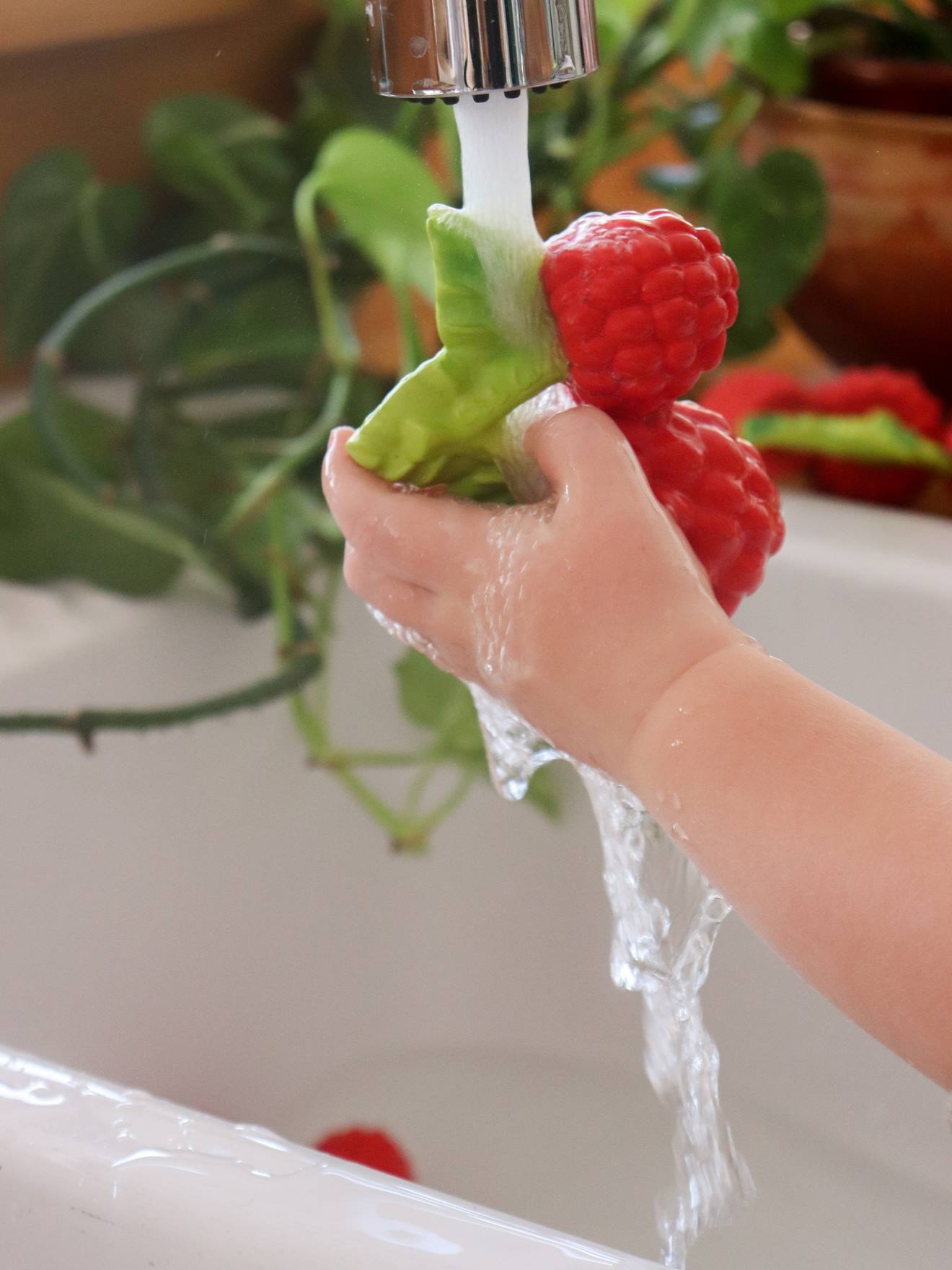 Valery la Framboise - rouge (Oli and Carol) - Image 2