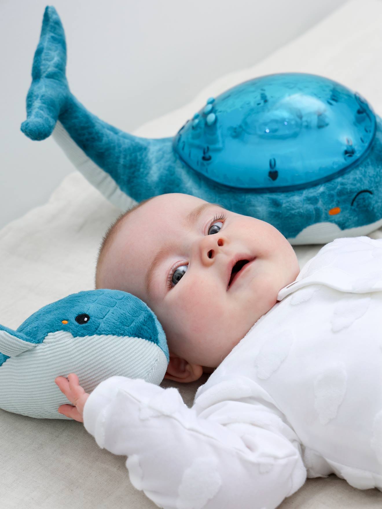Tranquil Whale CLOUD B blue family