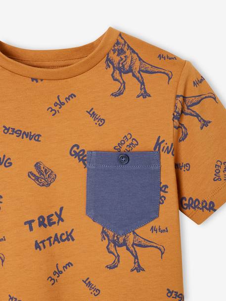T-shirt motifs graphiques garçon manches courtes anthracite+blanc chiné+bleu ardoise+cannelle+lichen+noix de pécan+terracotta 12 - vertbaudet enfant 