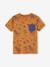T-shirt motifs graphiques garçon manches courtes anthracite+blanc chiné+bleu ardoise+cannelle+lichen+noix de pécan+terracotta 10 - vertbaudet enfant 