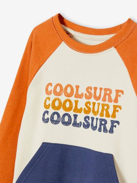 Sweat 'cool surf' garçon effet colorblock multicolore 5 - vertbaudet enfant 
