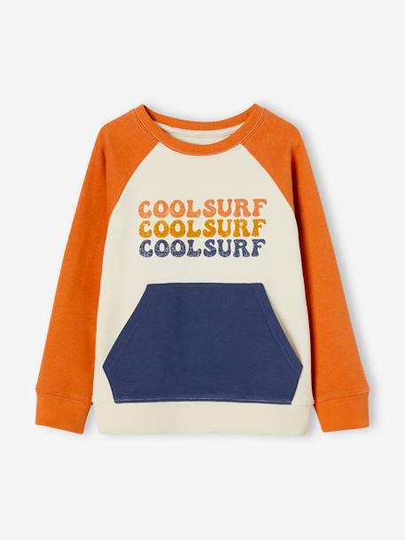 Sweat 'cool surf' garçon effet colorblock multicolore 3 - vertbaudet enfant 