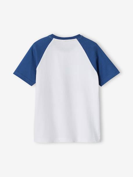 Tee-shirt motif graphique garçon manches raglan bleu+vert sauge 2 - vertbaudet enfant 