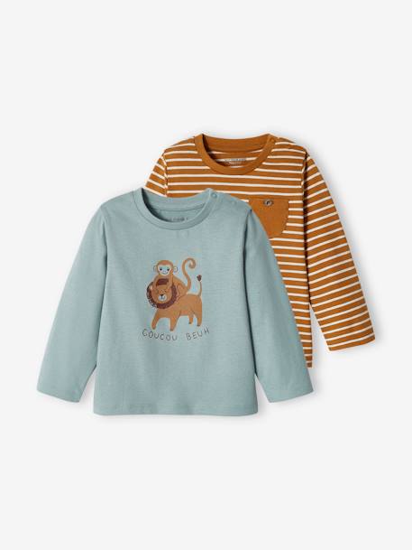 Bébé-Lot de 2 T-shirts basics bébé motif animal et rayé