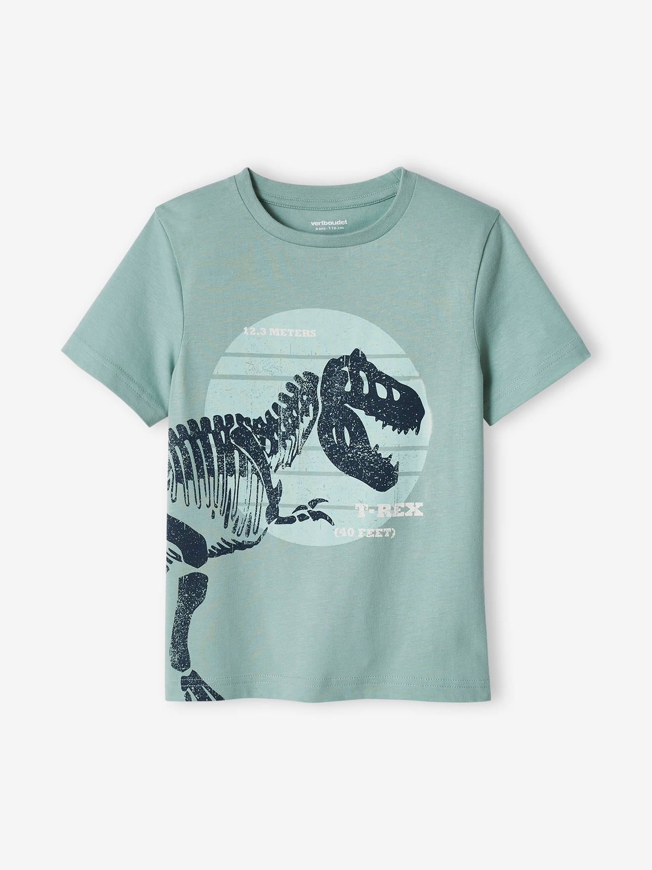 T-shirt garçon motif dinosaure géant menthe