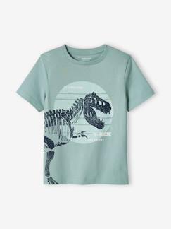 Garçon-T-shirt, polo, sous-pull-T-shirt garçon motif dinosaure géant 