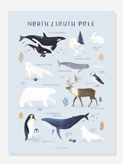 Fabrication française-Linge de maison et décoration-Affiche Animaux Pôle Nord/Sud Living Earth LILIPINSO