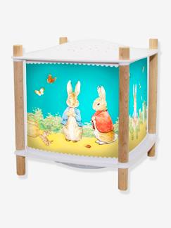Linge de maison et décoration-Décoration-Veilleuse Lanterne Révolution Peter Rabbit -