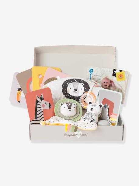 Taf Toys - Coffret Nouveau-Né - multicolore