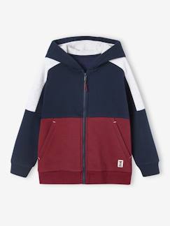 Sweat garçon zippé à capuche effet colorblock sport   - vertbaudet enfant