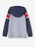 Sweat à capuche motif graphique manches raglan garçon bleu nuit+noix de pécan+vert anglais 3 - vertbaudet enfant 