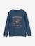 Sweat Basics motifs graphiques garçon blanc chiné+bleu nuit+bordeaux+noix de pécan+vert 9 - vertbaudet enfant 